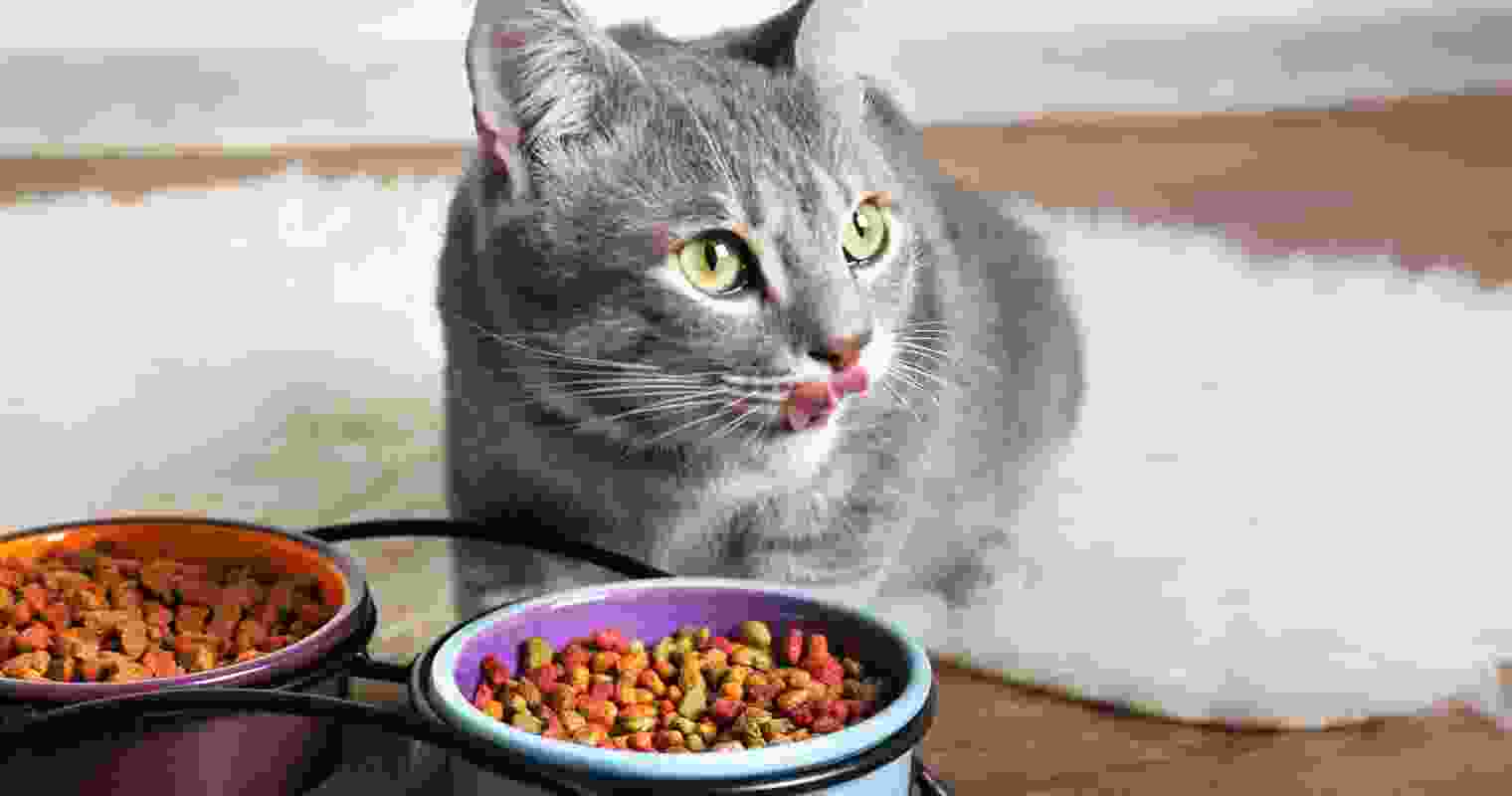 Classy-hoomns