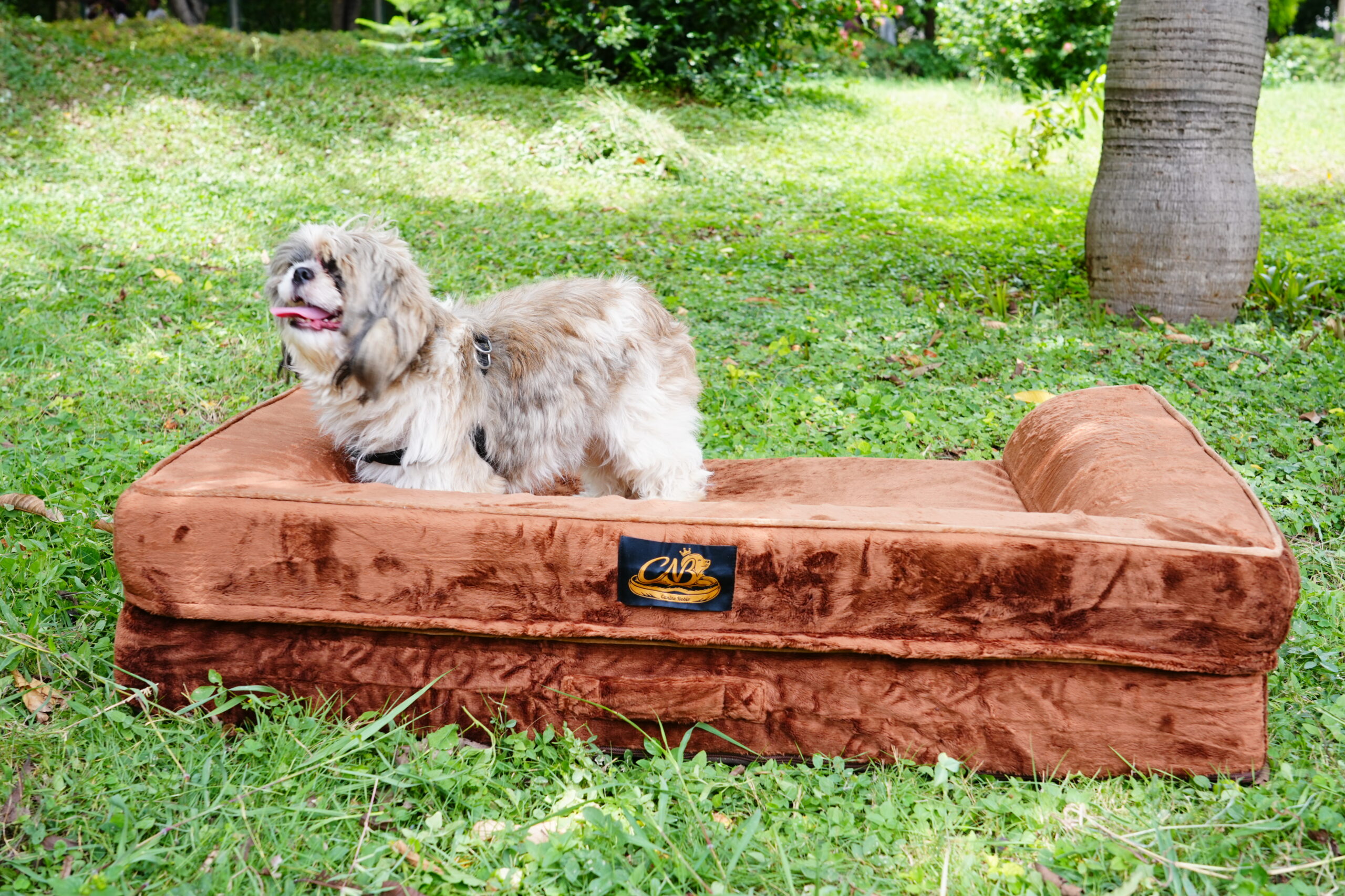 10 Signs Your Dog May Need an Orthopedic Dog Bed